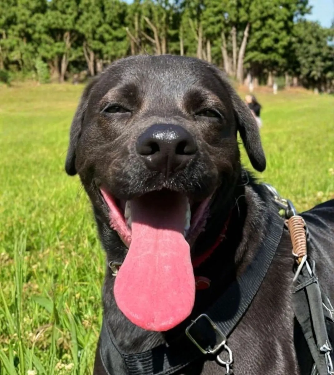 Tuco